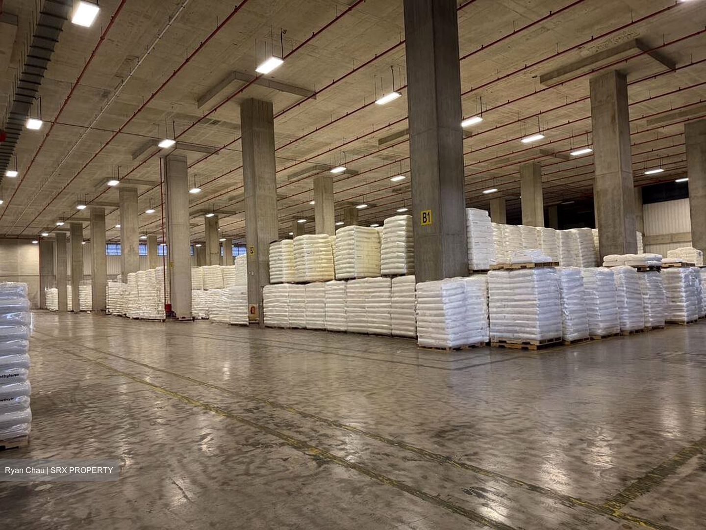 Benoi Crescent (D22), Warehouse #523597401